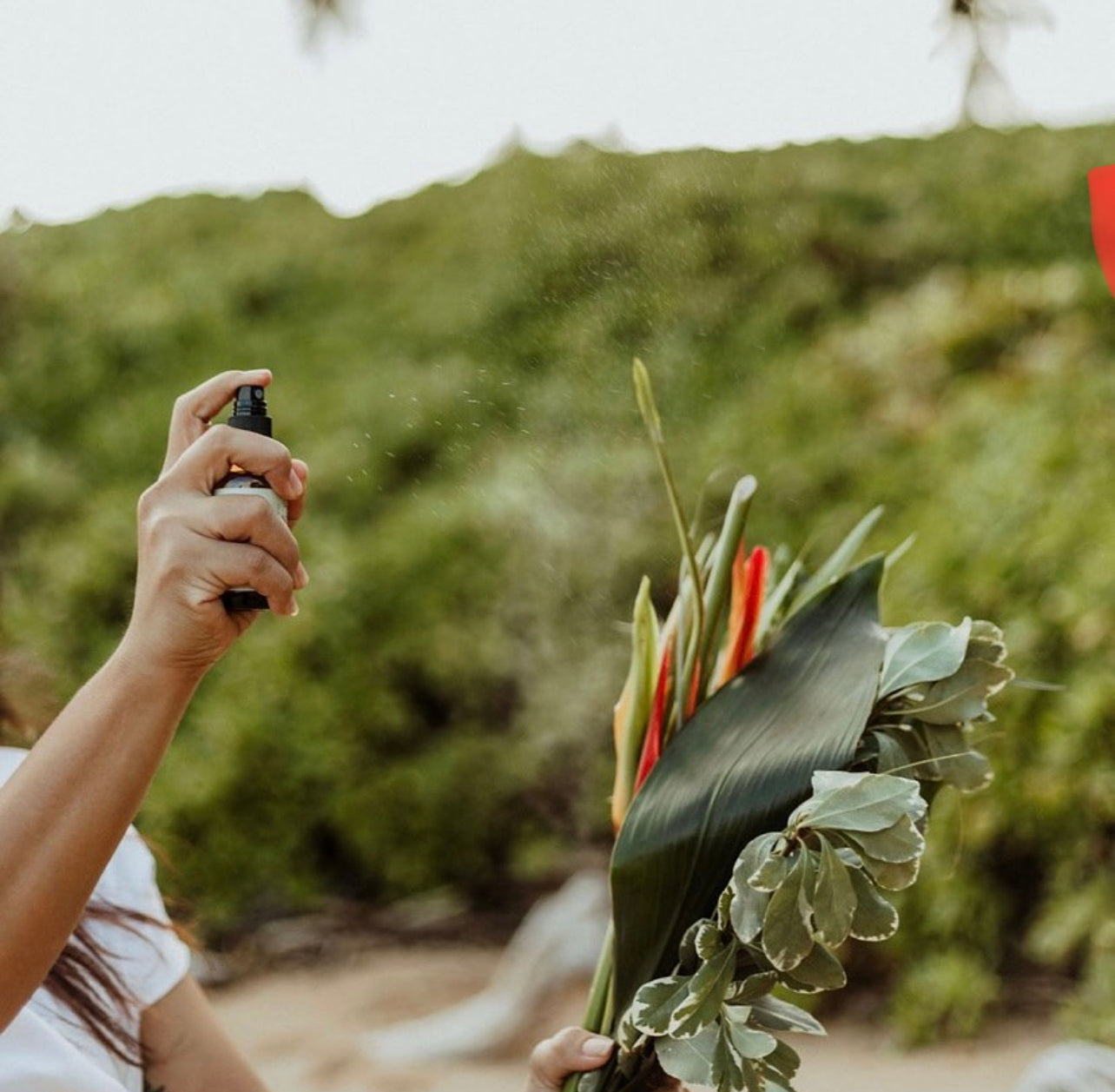 4 oz room & linen spray | room mist | car freshener | air freshener | choose your scent | Hawaiian flowers